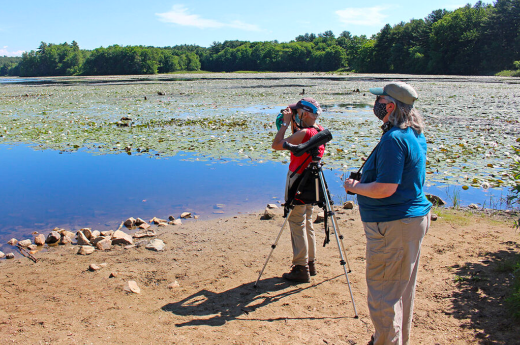 Migratory birds in the crosswinds of federal, state&nbsp;protections