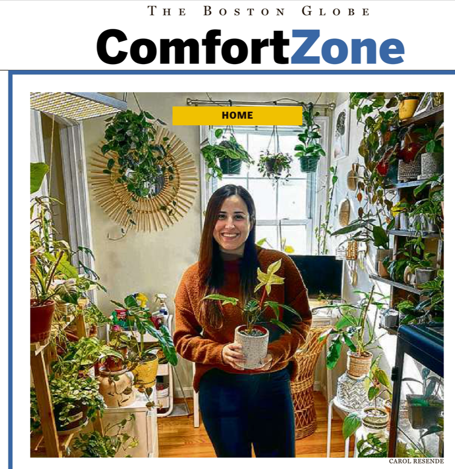 How houseplants kept some Bostonians well-rooted during the&nbsp;pandemic
